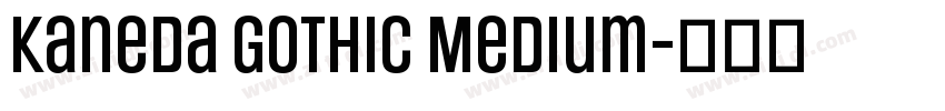 Kaneda Gothic Medium字体转换 Kaneda Gothic Medium字体转换